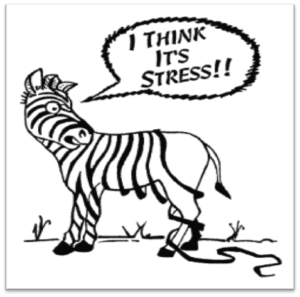 Mindfulness-Based Stress Reduction™ Class